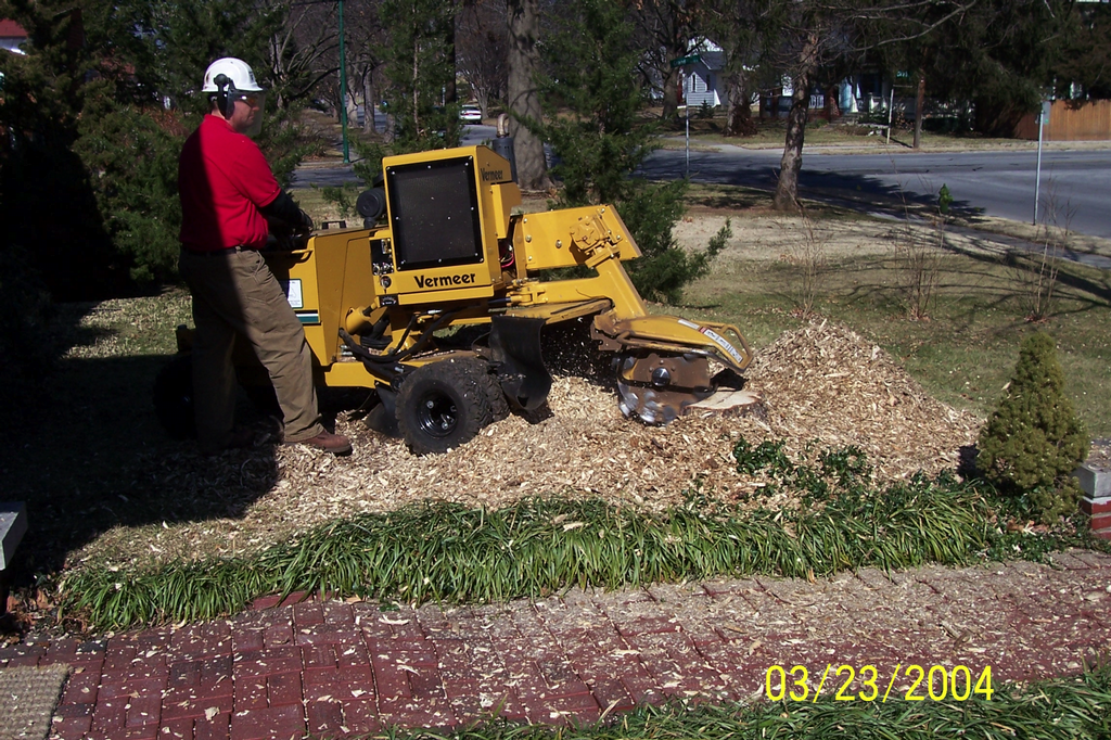 Stump Jumper Springfield MO 65803 4178655867 Tree Service